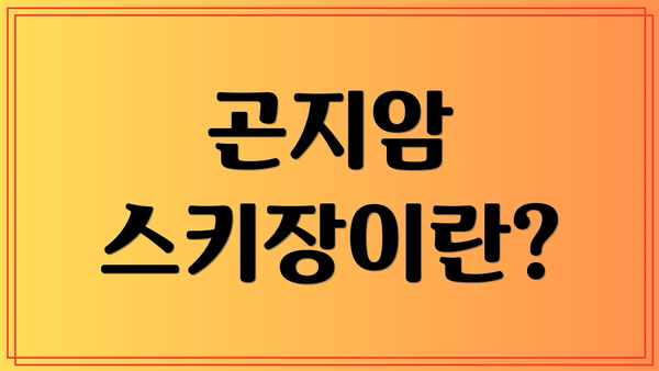 곤지암 스키장이란?