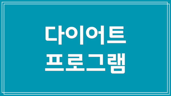 다이어트 프로그램