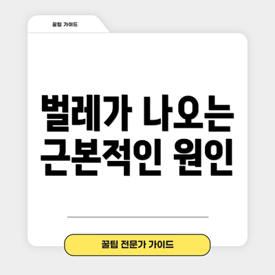 벌레가 나오는 근본적인 원인