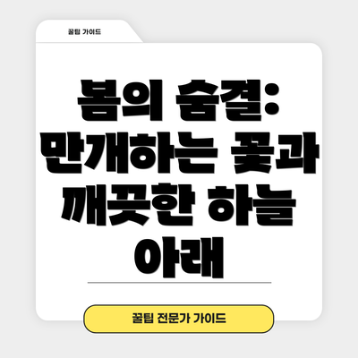 봄의 숨결: 만개하는 꽃과 깨끗한 하늘 아래