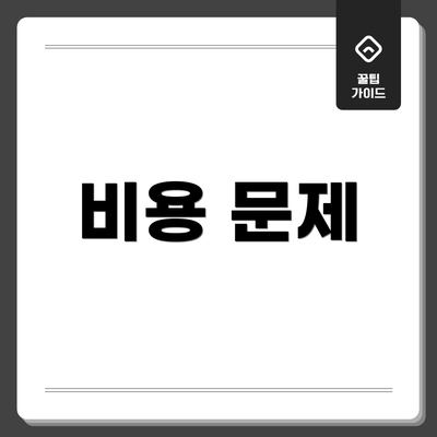 비용 문제