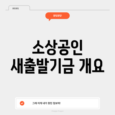 소상공인 새출발기금 개요