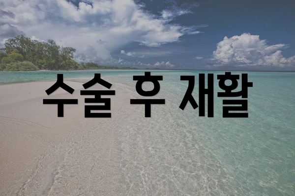 수술 후 재활