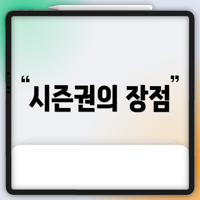 시즌권의 장점