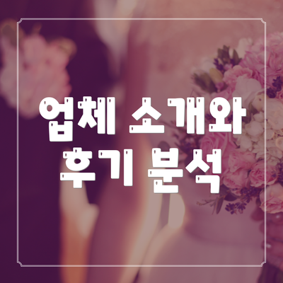 업체 소개와 후기 분석