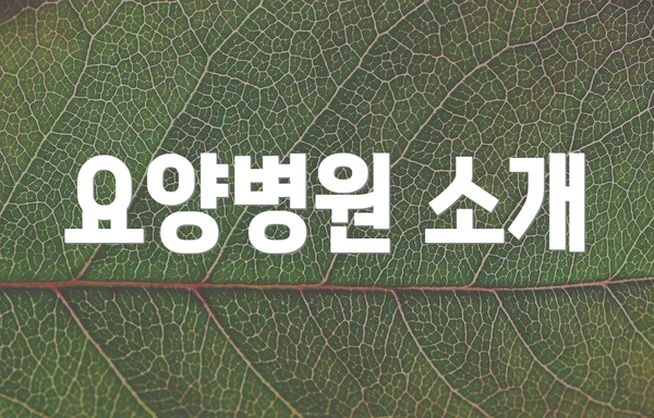 요양병원 소개