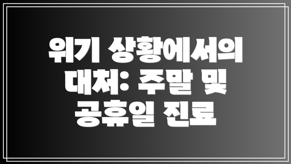 위기 상황에서의 대처: 주말 및 공휴일 진료