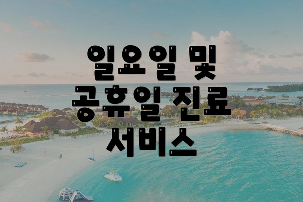 일요일 및 공휴일 진료 서비스