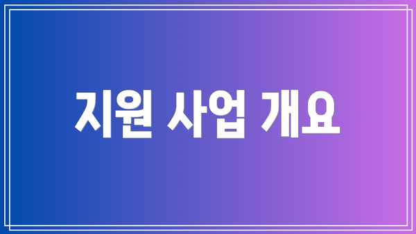 지원 사업 개요