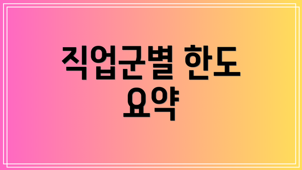 직업군별 한도 요약
