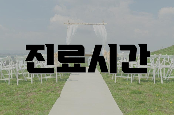 진료시간