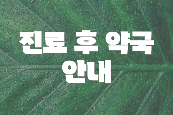 진료 후 약국 안내