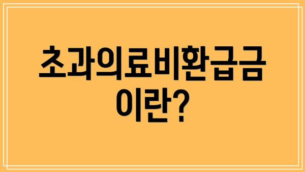 초과의료비환급금이란?