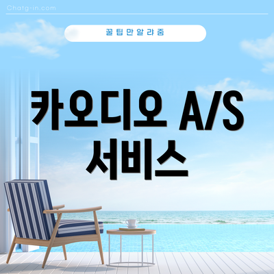 카오디오 A/S 서비스