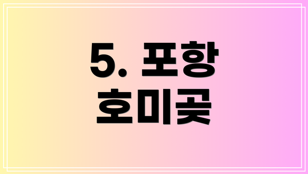 5. 포항 호미곶