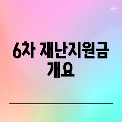 6차 재난지원금 개요