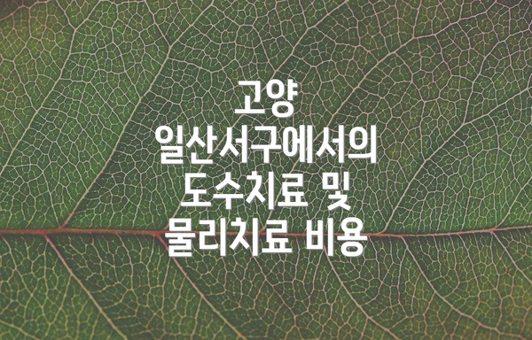 고양 일산서구에서의 도수치료 및 물리치료 비용
