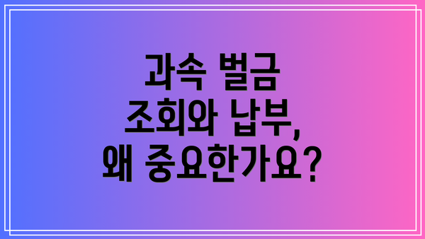 과속 벌금 조회와 납부, 왜 중요한가요?