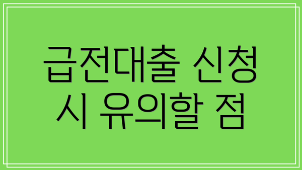 급전대출 신청 시 유의할 점