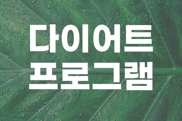 다이어트 프로그램