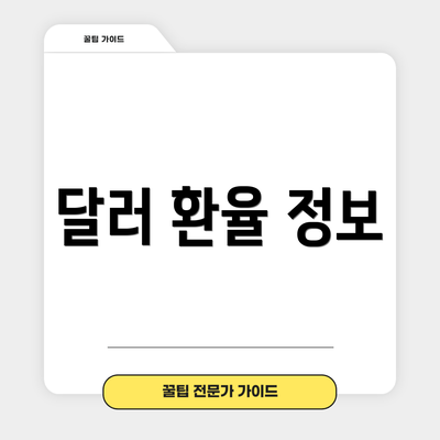 달러 환율 정보