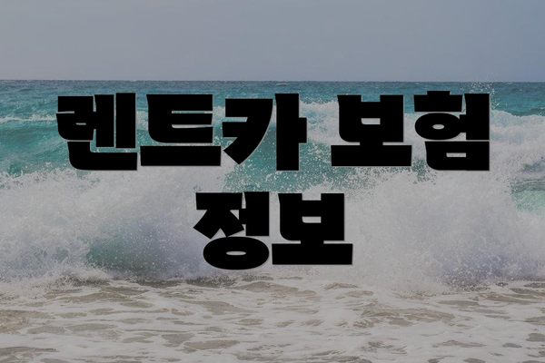 렌트카 보험 정보