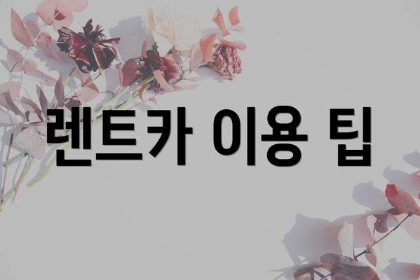 렌트카 이용 팁