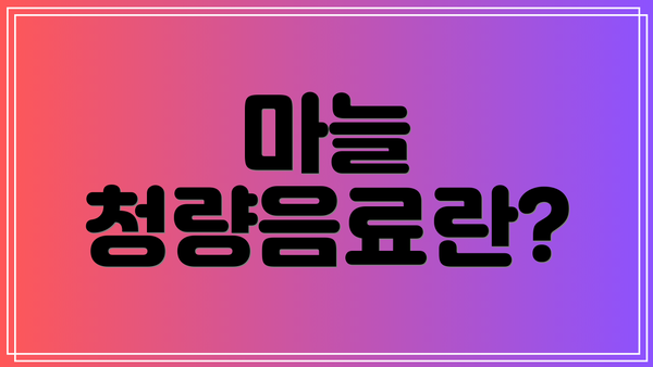 마늘 청량음료란?
