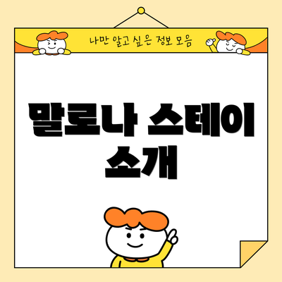 말로나 스테이 소개
