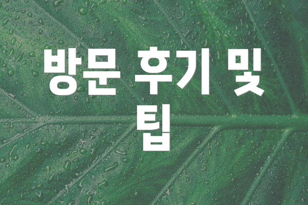 방문 후기 및 팁