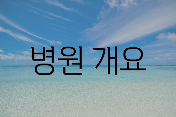 병원 개요