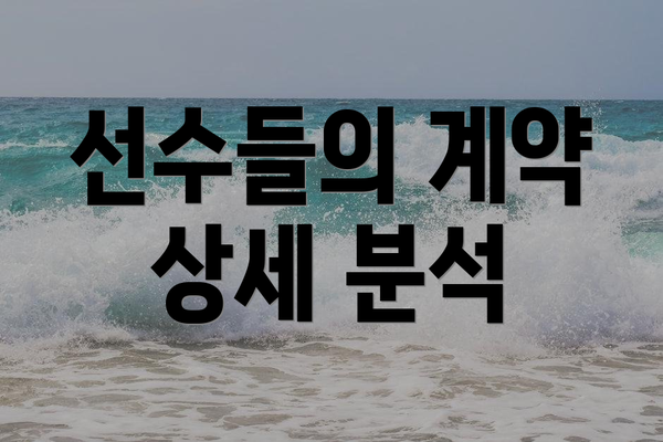 선수들의 계약 상세 분석