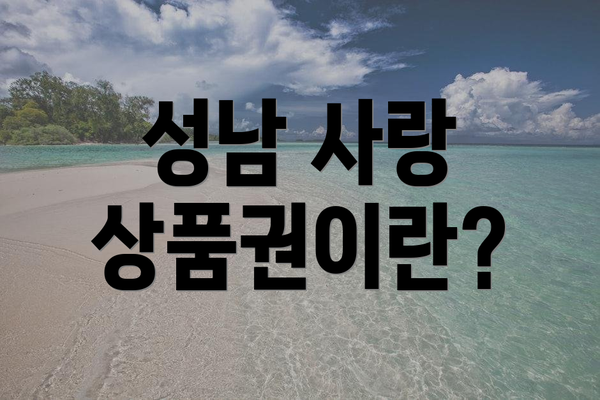 성남 사랑 상품권이란?