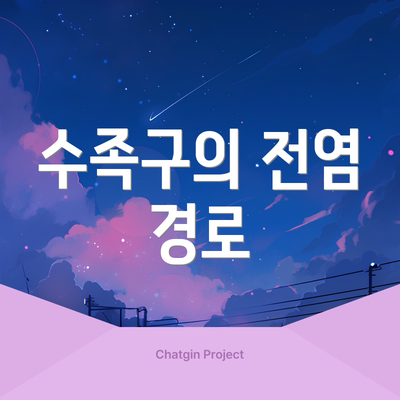 수족구의 전염 경로