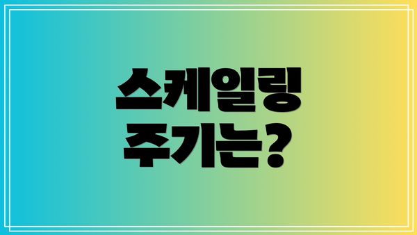 스케일링 주기는?