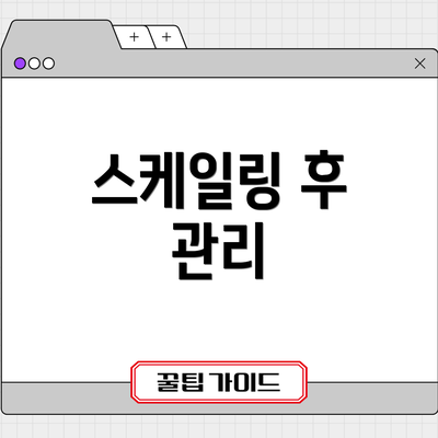 스케일링 후 관리