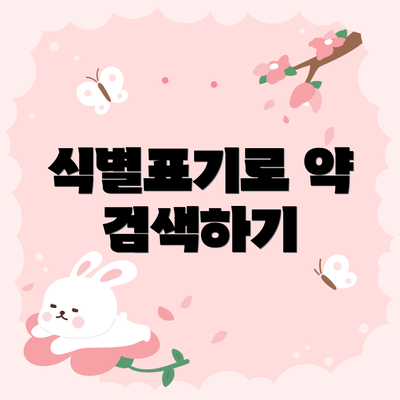 식별표기로 약 검색하기