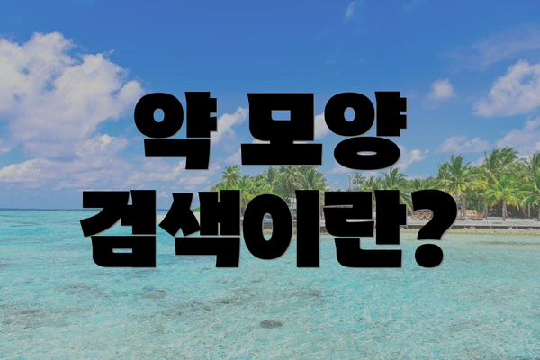 약 모양 검색이란?