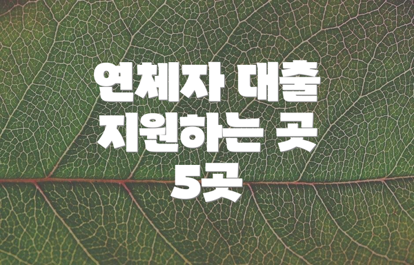 연체자 대출 지원하는 곳 5곳