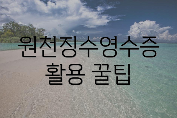 원천징수영수증 활용 꿀팁
