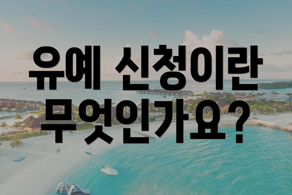 유예 신청이란 무엇인가요?