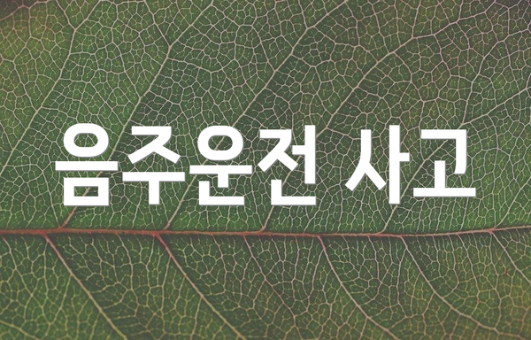 음주운전 사고