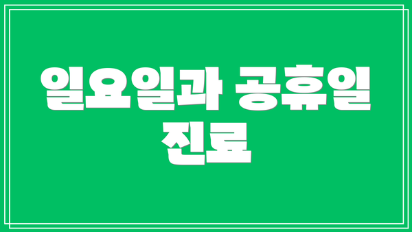 일요일과 공휴일 진료