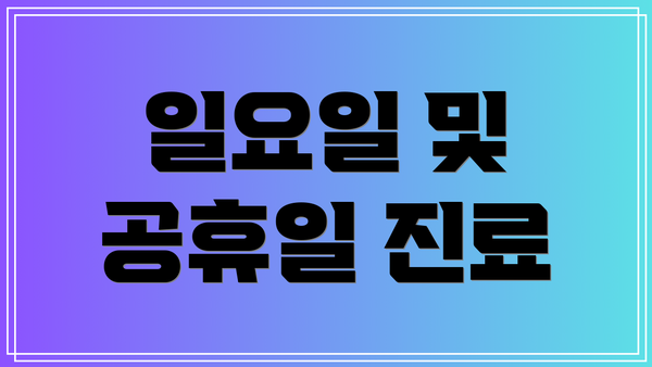 일요일 및 공휴일 진료
