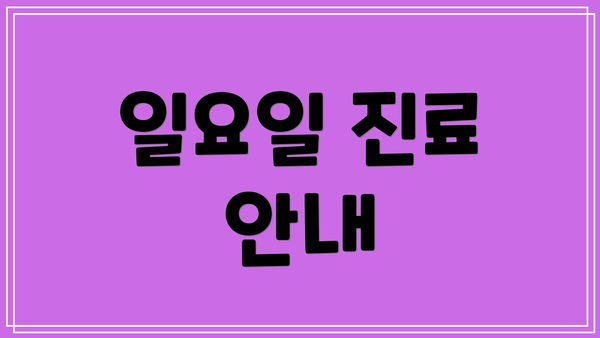 일요일 진료 안내