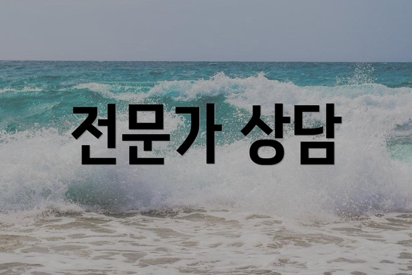 전문가 상담