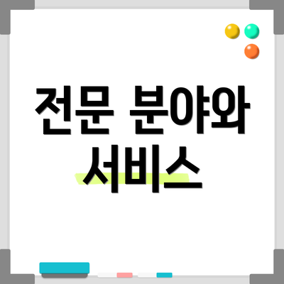 전문 분야와 서비스