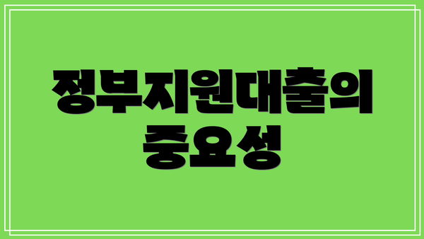 정부지원대출의 중요성