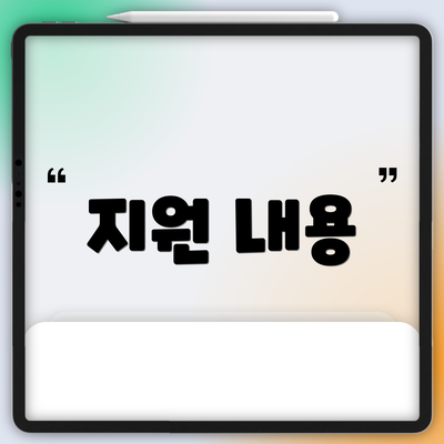 지원 내용