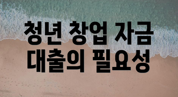 청년 창업 자금 대출의 필요성